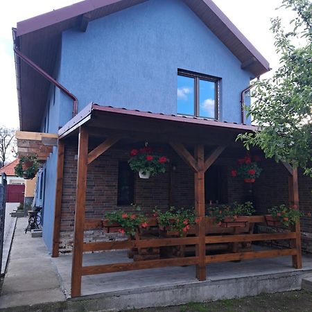 Casa Rustica Saceleana Villa Exterior photo