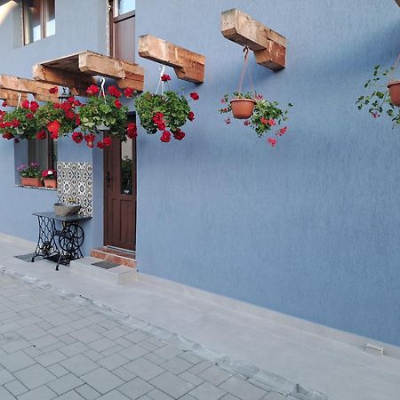 Casa Rustica Saceleana Villa Exterior photo