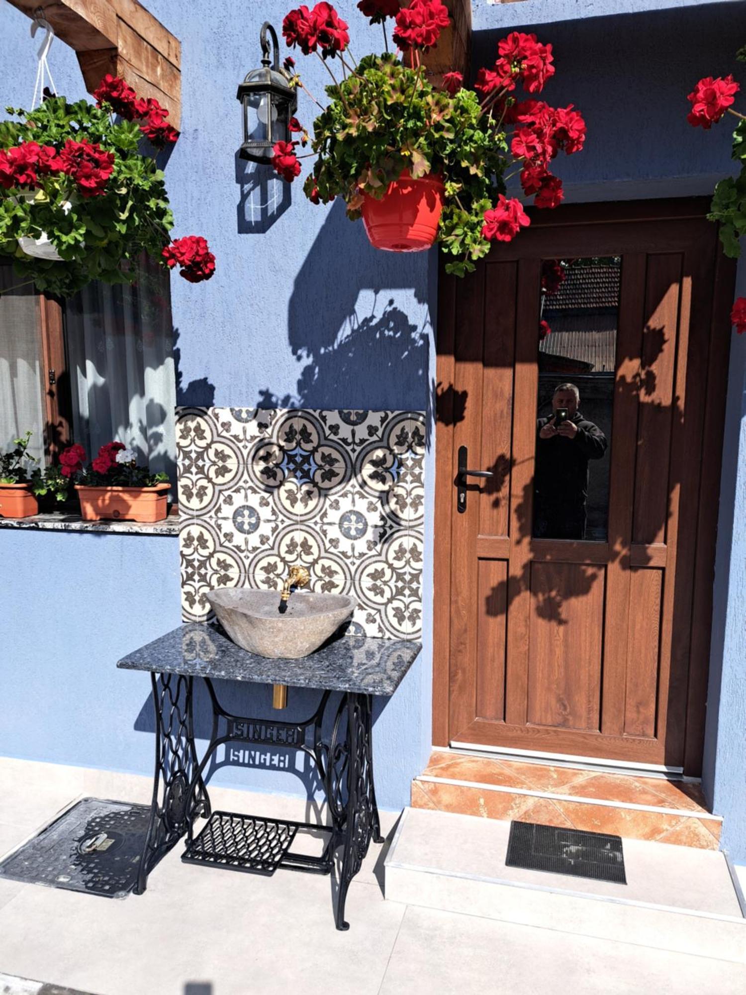 Casa Rustica Saceleana Villa Exterior photo